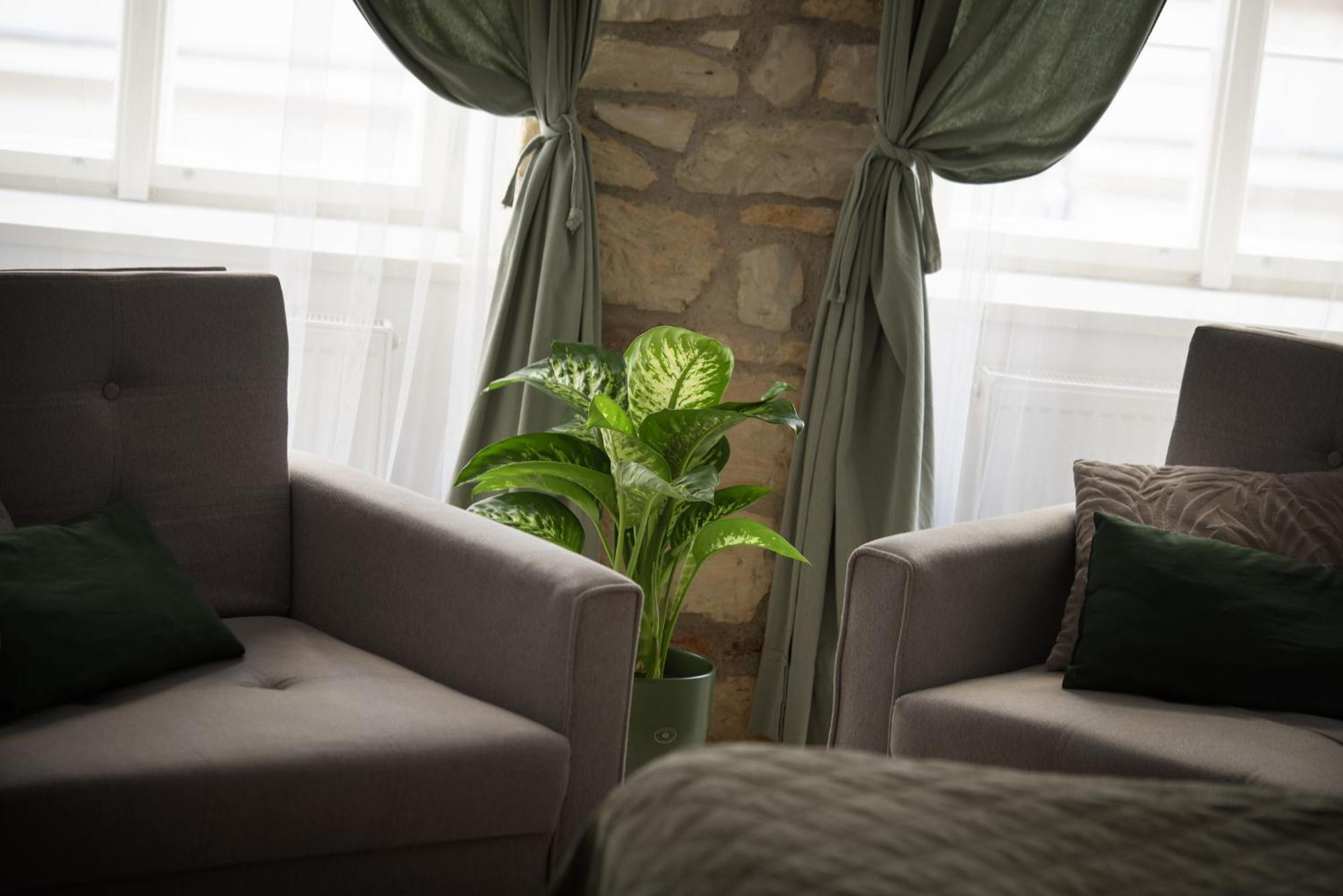 White Swan Boutique Apartments — Photos 1